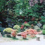otarupark otarupark