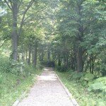 sinrinpark
