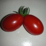 dscn0762