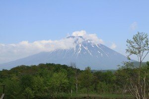 yotei
