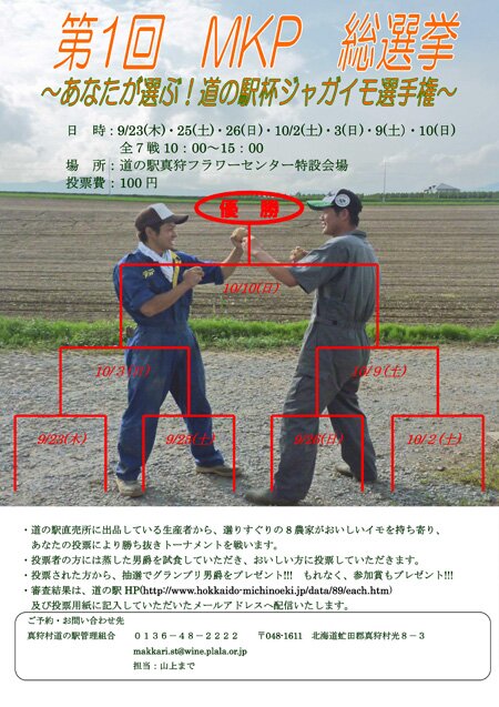 mkp-e3839de382b9e382bfe383bc_efbd89efbe88efbdafefbe84